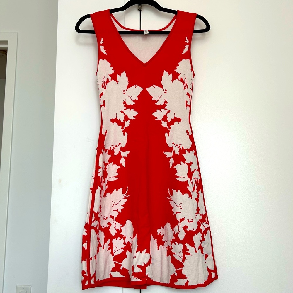Yoana Baraschi Graphic Print Red Fit and Flare Dress